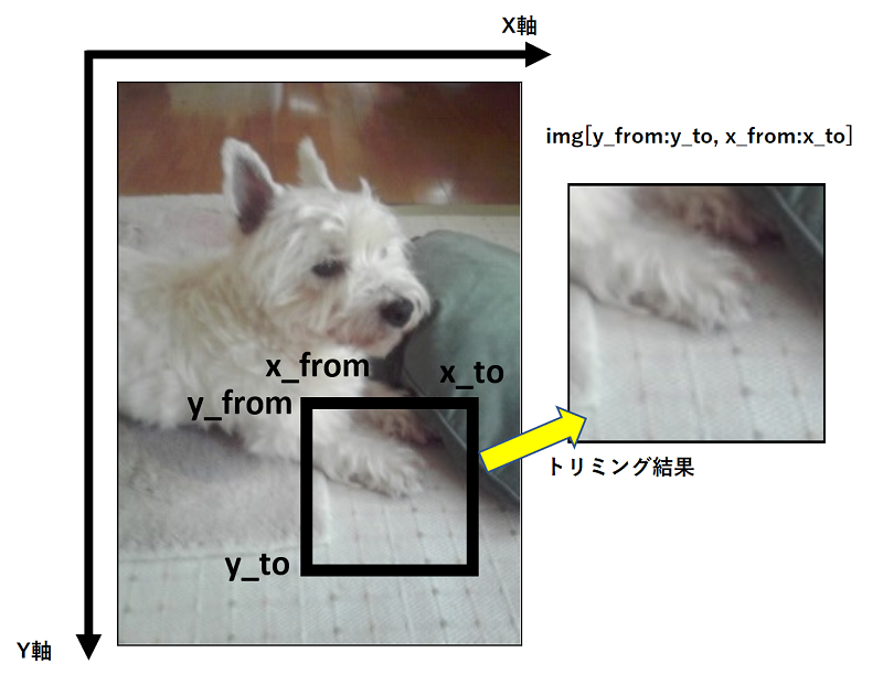 画像の向きと座標の関係、トリミング処理結果イメージ
